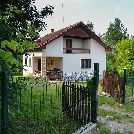 Kuca Za Odmor Radovanovic Despotovac Zewnętrze zdjęcie