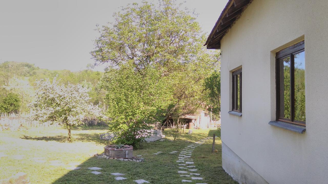 Kuca Za Odmor Radovanovic Despotovac Zewnętrze zdjęcie