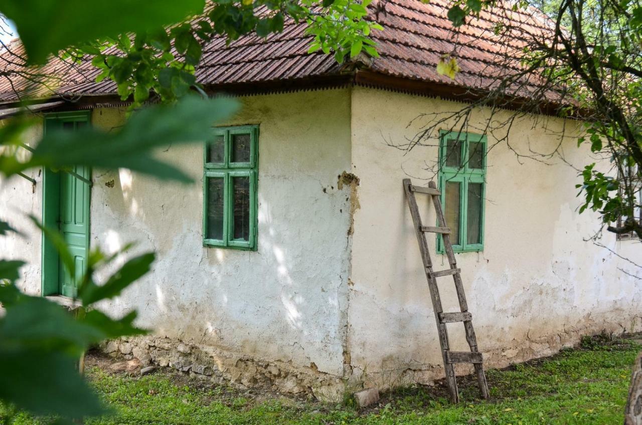 Kuca Za Odmor Radovanovic Despotovac Zewnętrze zdjęcie