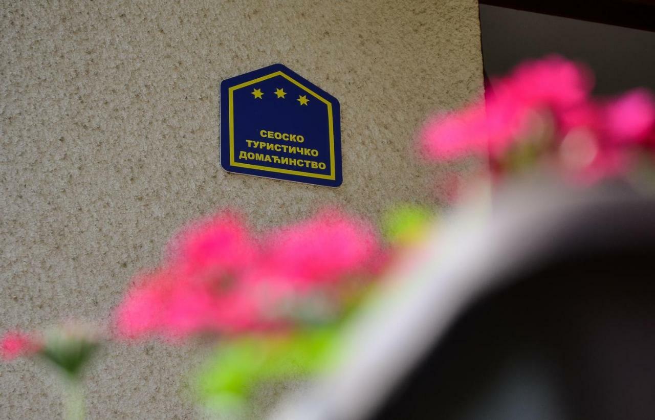Kuca Za Odmor Radovanovic Despotovac Zewnętrze zdjęcie