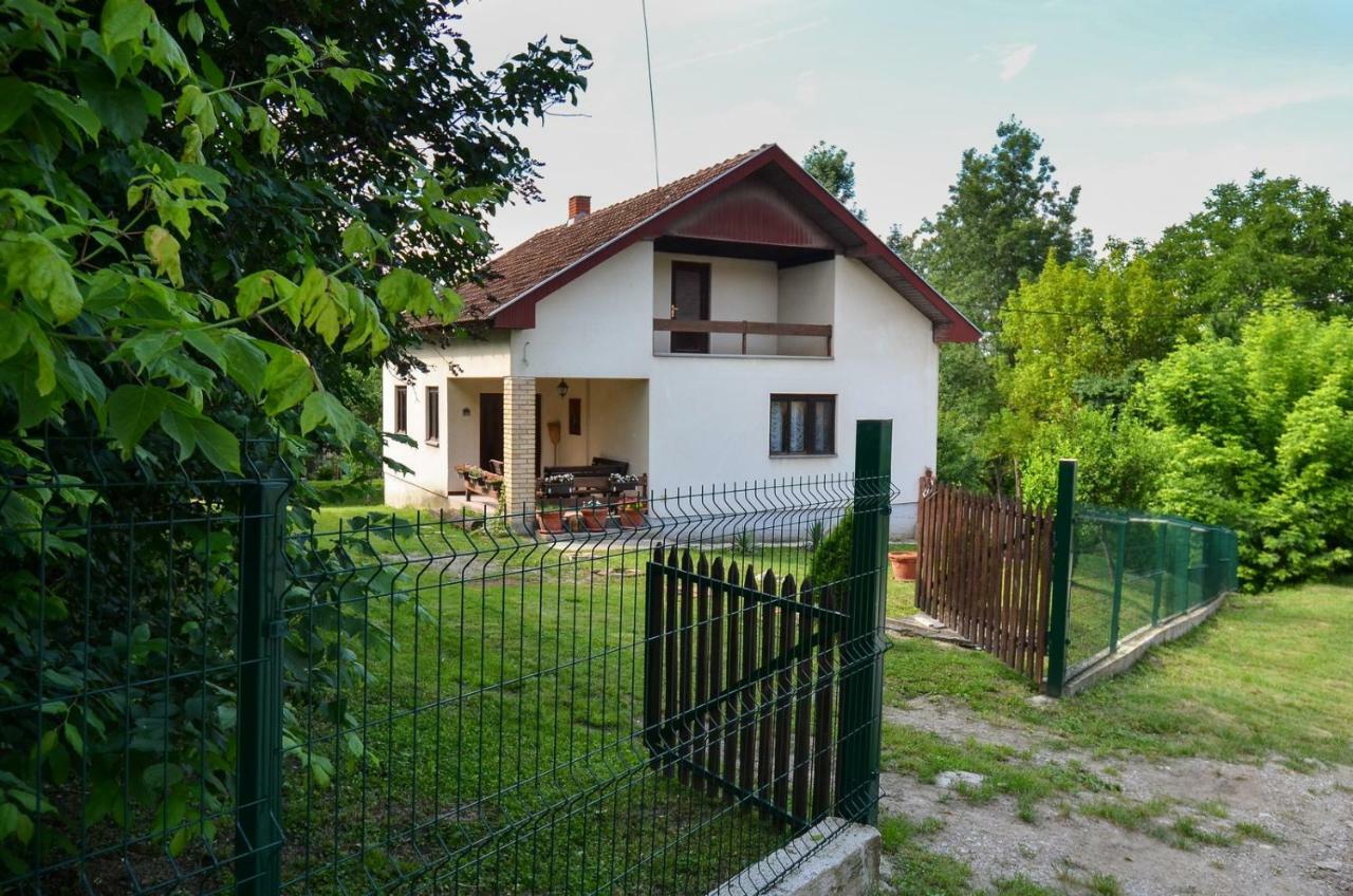 Kuca Za Odmor Radovanovic Despotovac Zewnętrze zdjęcie
