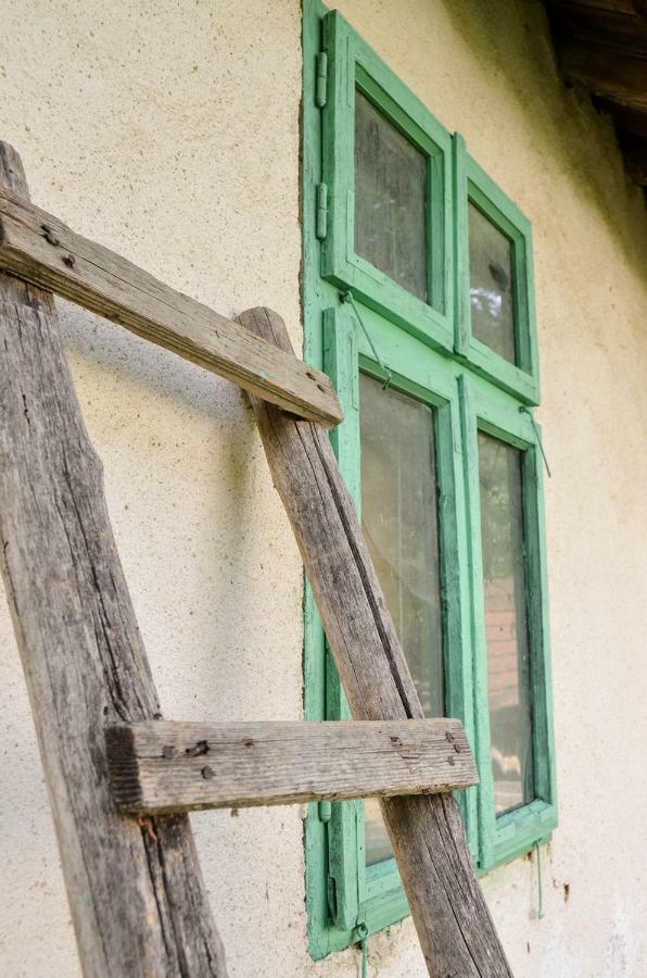 Kuca Za Odmor Radovanovic Despotovac Zewnętrze zdjęcie