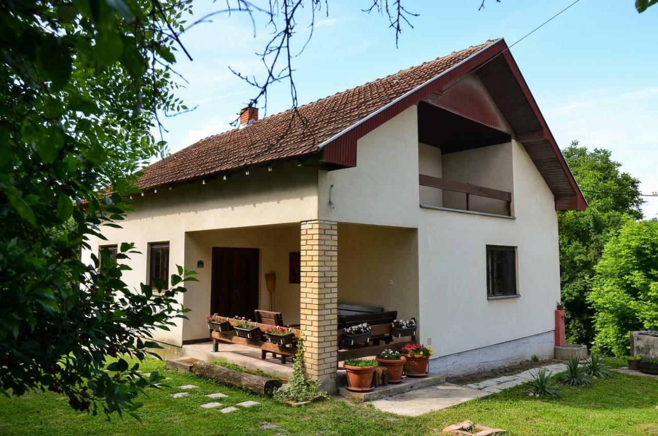 Kuca Za Odmor Radovanovic Despotovac Zewnętrze zdjęcie