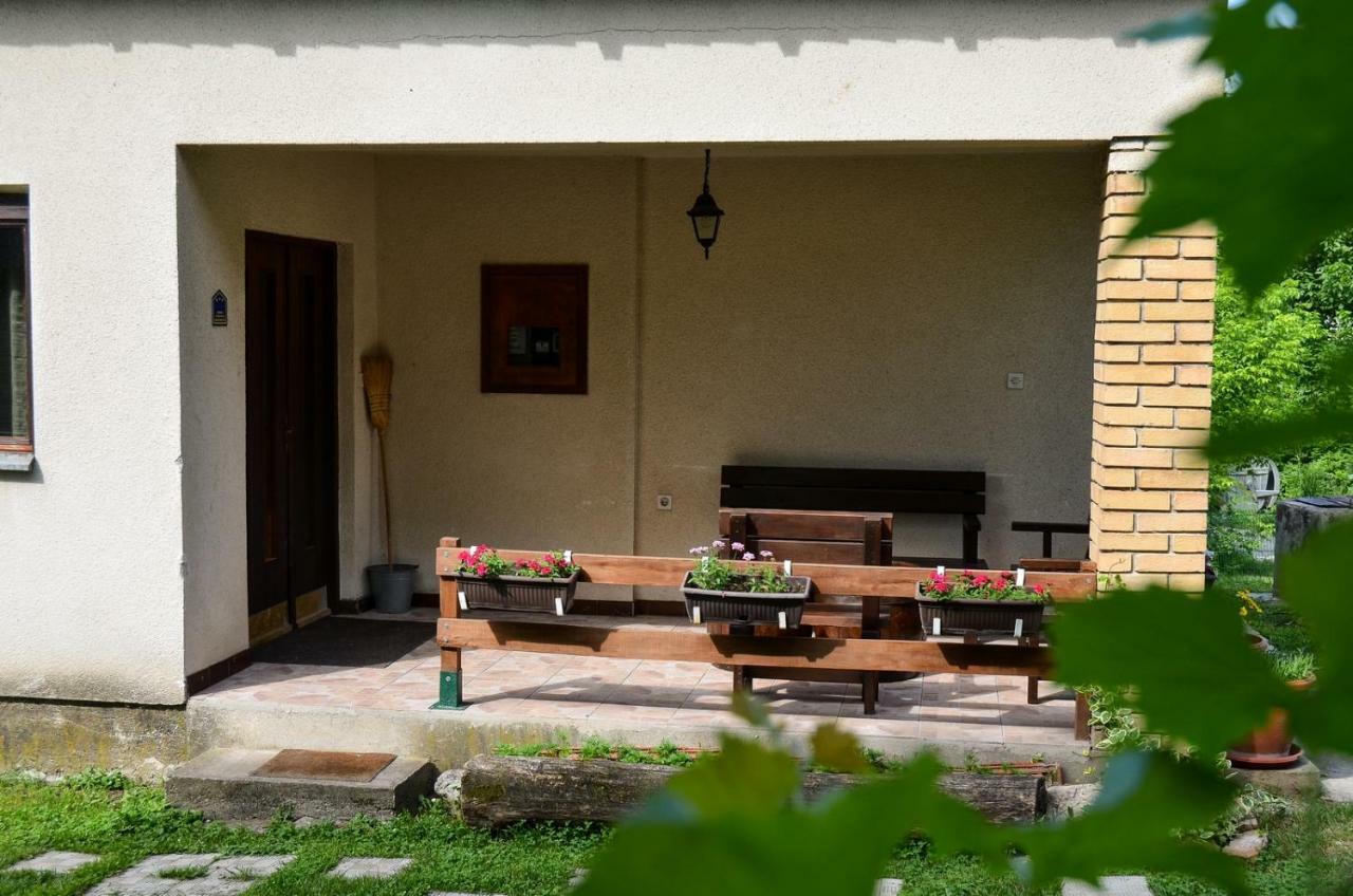 Kuca Za Odmor Radovanovic Despotovac Zewnętrze zdjęcie