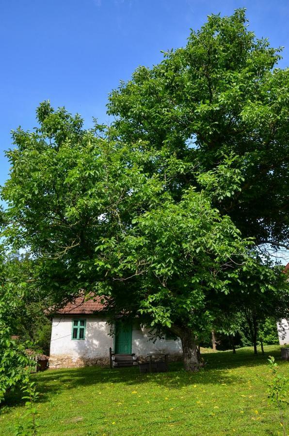 Kuca Za Odmor Radovanovic Despotovac Zewnętrze zdjęcie